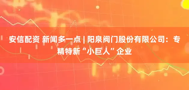 安信配资 新闻多一点 | 阳泉阀门股份有限公司：专精特新“小巨人”企业